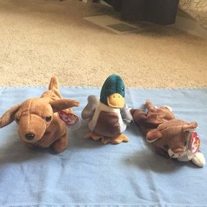 Animals you would see in the neighborhood bundle